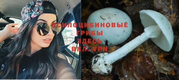 mdpv Абдулино