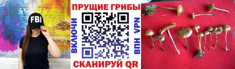 Галлюциногенные грибы прущие грибы Чулым